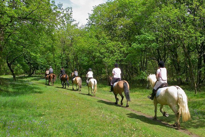 Umbria, Horseback riding in the Umbrian countryside with lunch - FAQ