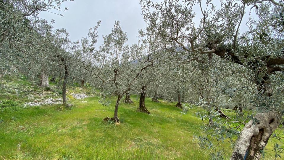 Umbria: Menotre Valley and Rasiglia Hiking Tour With Lunch - Typical Umbrian Lunch