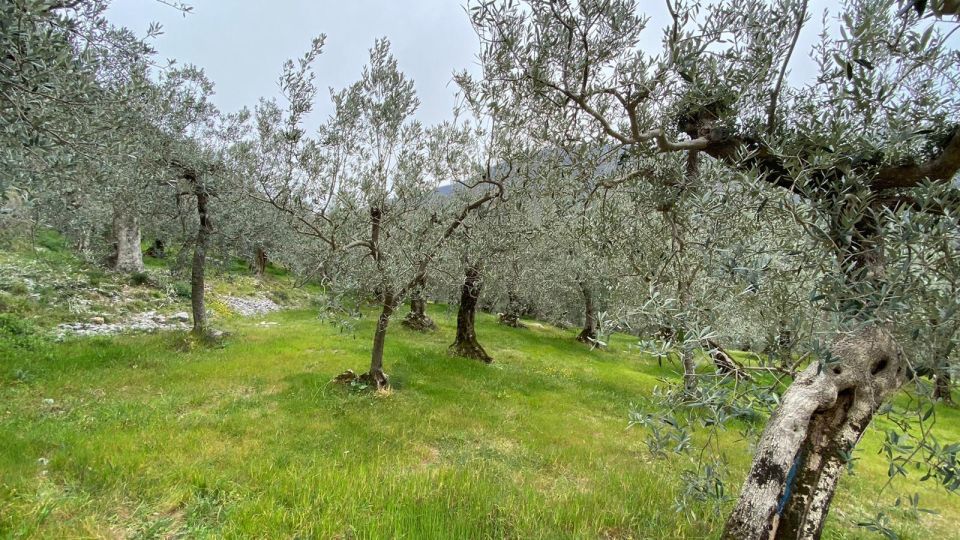 Umbria: Menotre Valley and Rasiglia Hiking Tour With Lunch - Visit to Rasiglia Village