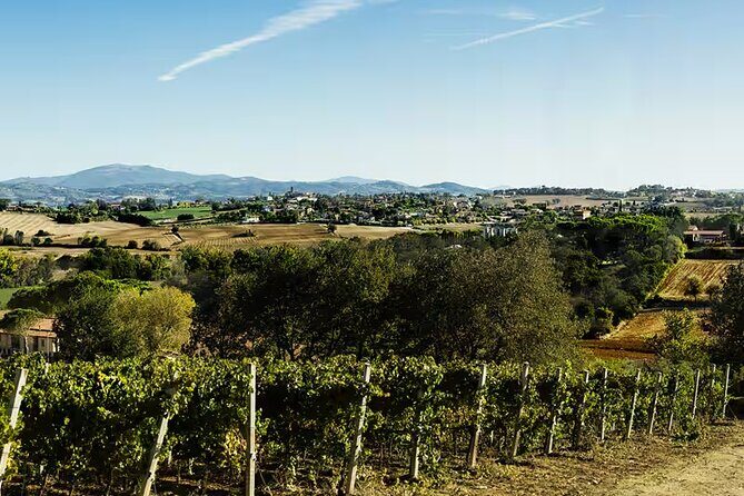 Umbria: Wine Tasting Tour with Regional Pairings near Perugia - A detailed look at the wine tasting experience