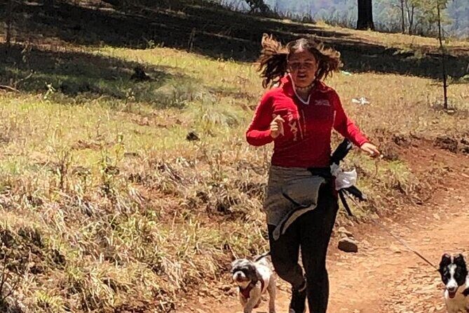 Umecuaro All Inclusive Tour and Guided Tours in Morelia - The Sum Up: Who Should Consider This Tour?