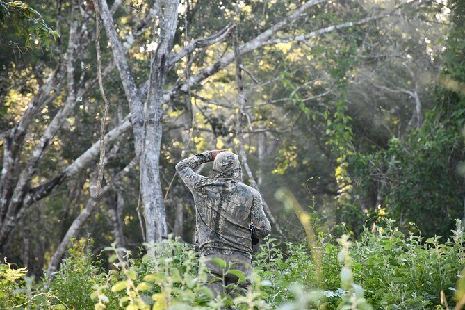 Uncharted Mayan Ruins - Practical Insights