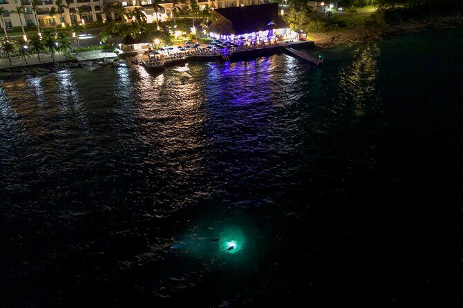 Under the Stars Twilight Snorkel and Seaside Dinner at Money Bar - Key Points