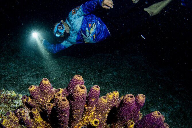 Under the Stars Twilight Snorkel and Seaside Dinner at Money Bar - FAQ