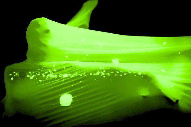 Underground Black Light Theatre Interactive Show in Prague - An In-Depth Look at the Experience