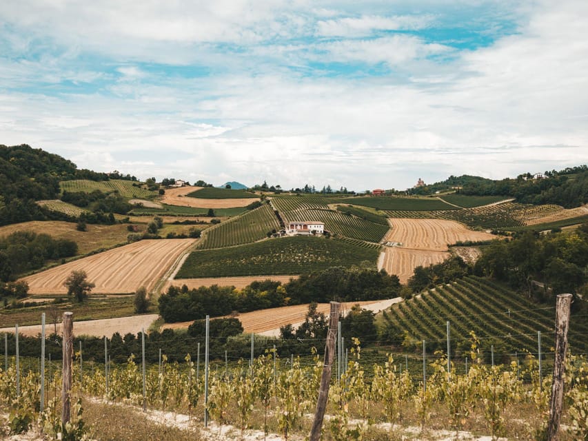 Underground Cave Visit With Food & Wine Tasting Near Asti - Pricing and Booking Details