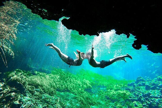 Underground Cenotes Snorkeling Tour with Mayan Snack - Key Points