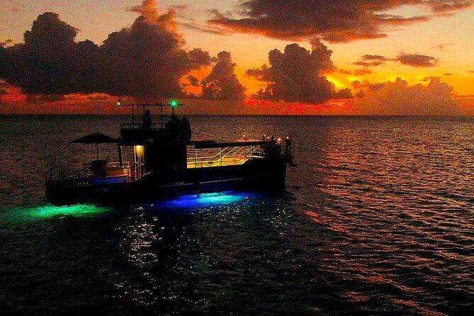 Underwater excursion to Bora Bora - An Introduction to the Tour