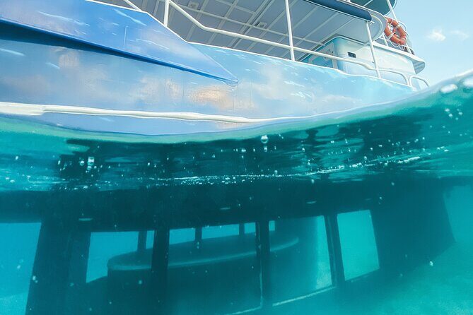 Underwater excursion to Bora Bora - The Itinerary: What to Expect