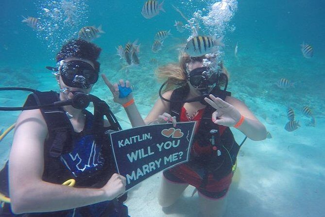Underwater Marriage Proposal - Who Is This Tour Best For?