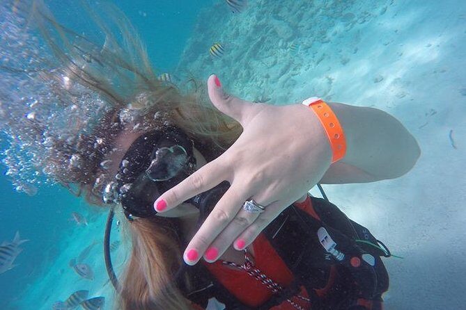 Underwater Marriage Proposal - FAQ