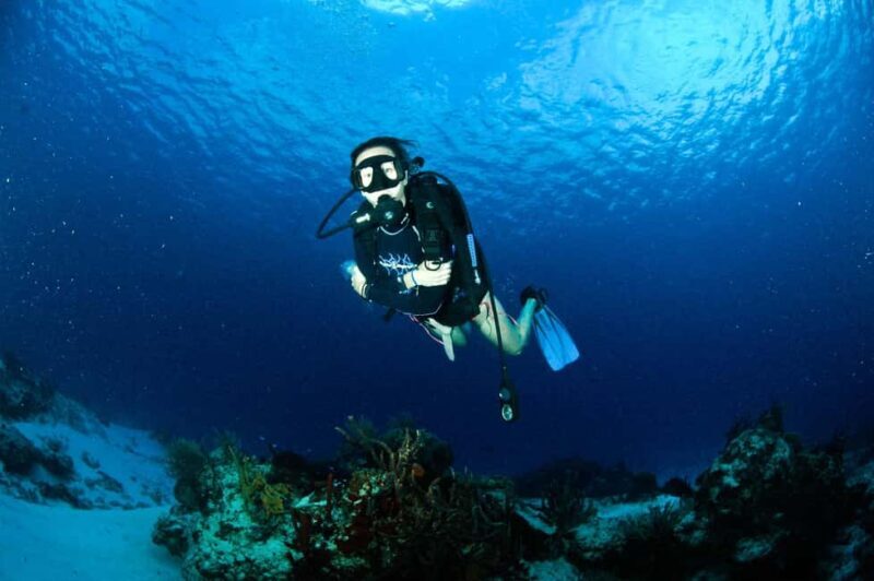 Underwater Museum Musa : SCUBA DIVING FOR BEGINNERS - An Honest Look at the Underwater Museum Musa Tour