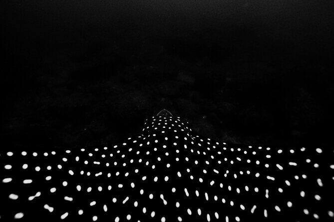 Underwater Photo Shoot - Key Points