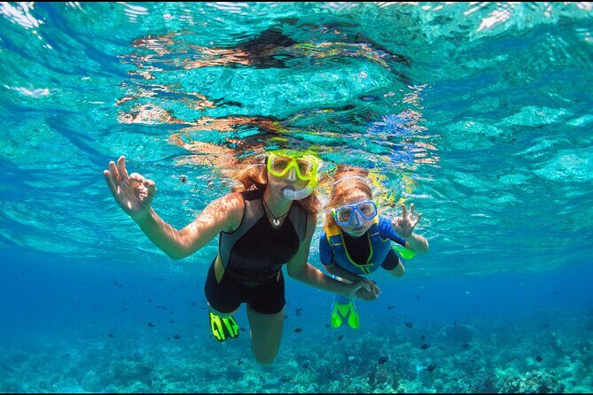 Underwater Sculpture Park Snorkel Adventure - Introduction: What Is the Under SXM Underwater Sculpture Park?