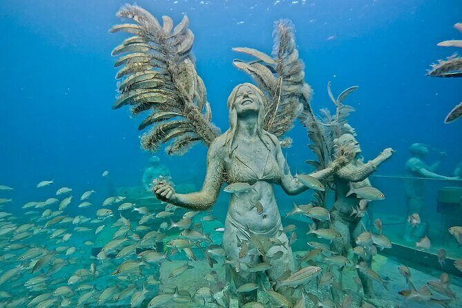 Underwater Sculpture Park Snorkel Adventure - How Does It Compare in Value?