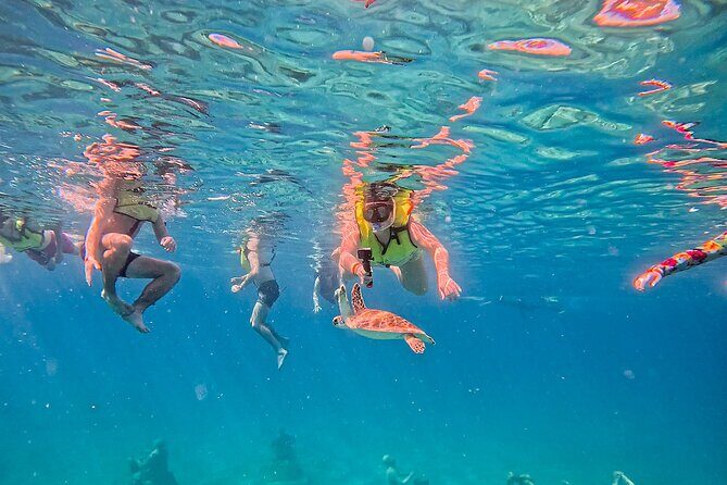 Underwater Sculpture Park Snorkel Adventure - Practical Details