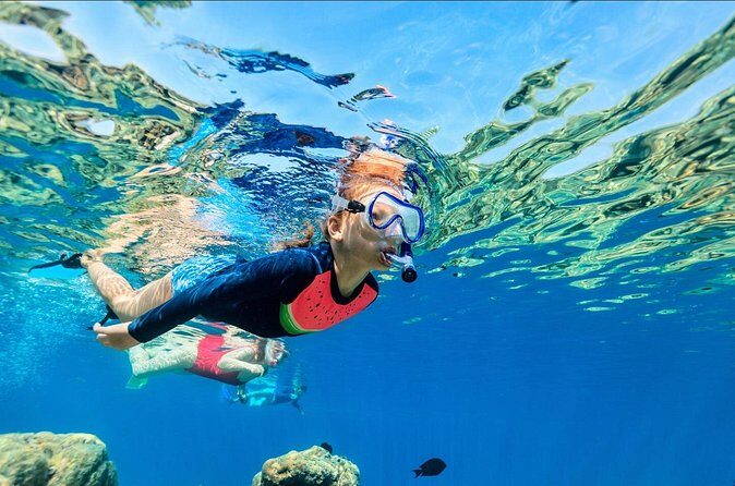 Underwater Sculpture Park Snorkel Adventure - The Sum Up: Who Should Book This Tour?