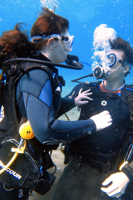 Underwater Tenerife - Personalized Scuba Diving Experience - Itinerary and Experience Details