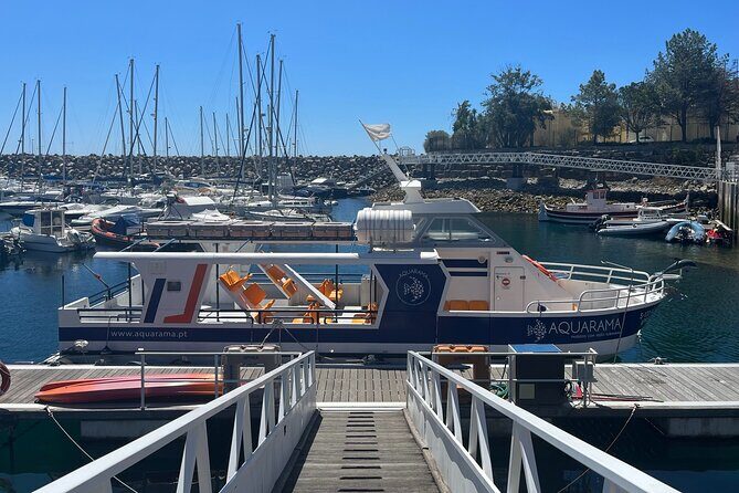 Underwater viewing tours along the coast of Sesimbra - FAQs