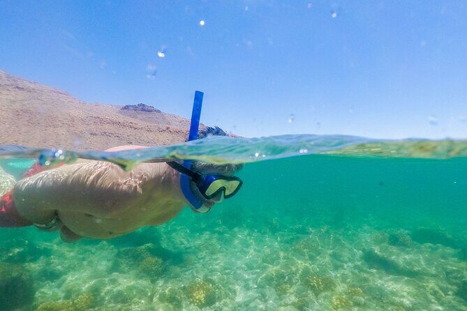 Underwater Wonders Snorkeling Adventure - FAQ