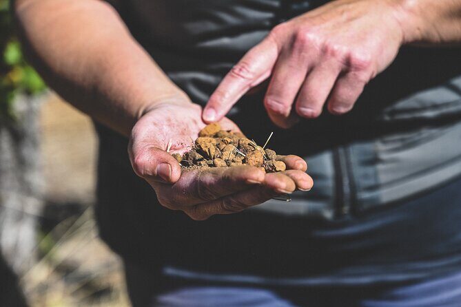 Unearth Voyager - Final Thoughts: Who Should Consider This Tour?