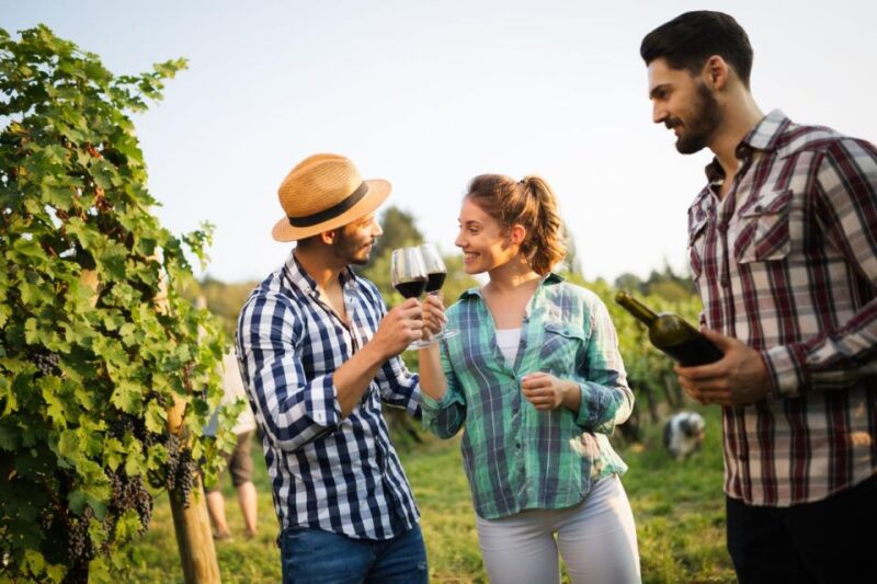 UNESCO Heritage and Wine Delights Private Tour From Bordeaux - UNESCO World Heritage Site