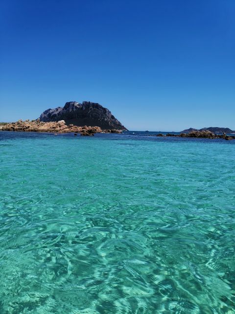 Unforgetable Group Tour of Tavolara and Molara Islands - Experience Highlights