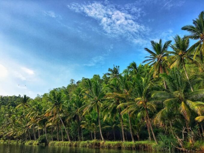 Unforgetable Tour of Java Island - Pacitan Destinations
