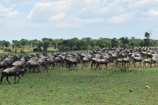 Unforgettable 4 Days Tanzania Private Budget Safari Tour - Inclusions and Exclusions