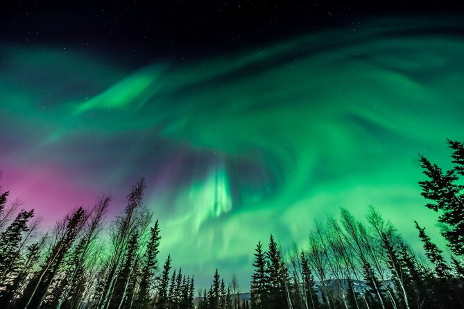 Unforgettable and Fabulous Northern Lights in Reykjavík - Embracing the Ethereal Lighting Experience