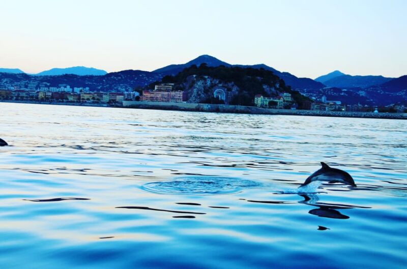 Unforgettable Boat Excursion - Boat Specifications