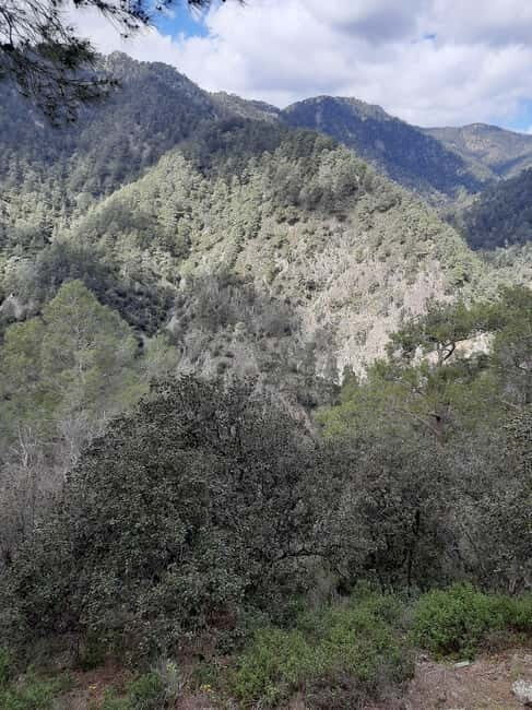 Unforgettable day on safari from Paphos to the Troodos mountains - Key Points