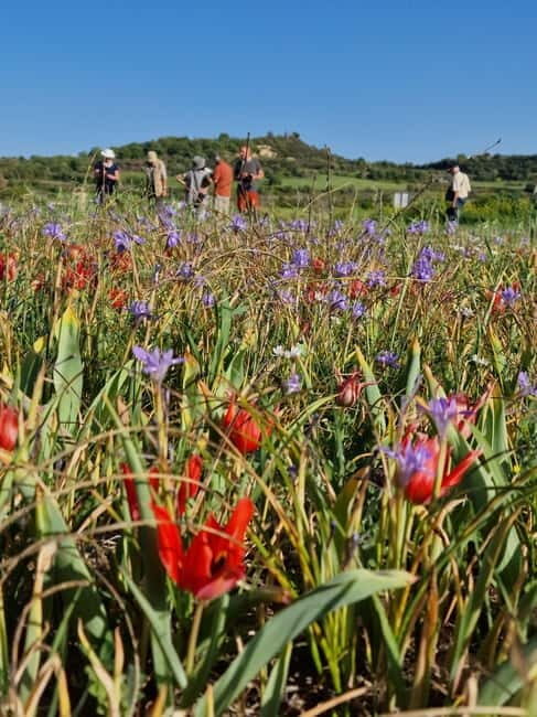 Unforgettable day on safari from Paphos to the Troodos mountains - The Itinerary in Detail: What to Expect