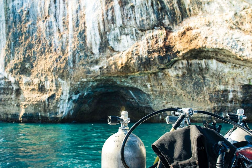 Unforgettable Dive Expedition: Exploring Los Arcos Mismaloy - Pricing and Reservations