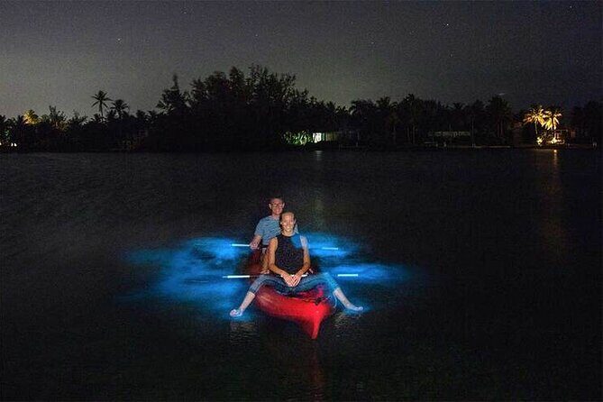 Unforgettable One Day Bioluminescent Kayak Adventure in Vieques - A Deep Dive into Vieques’ Bioluminescent Wonder