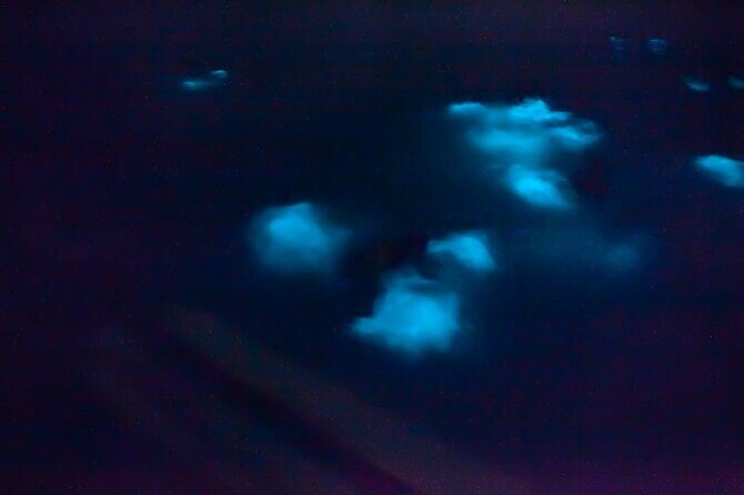 Unforgettable One Day Bioluminescent Kayak Adventure in Vieques - The Sum Up