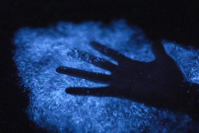 Unforgettable One Day Bioluminescent Kayak Adventure in Vieques - FAQ