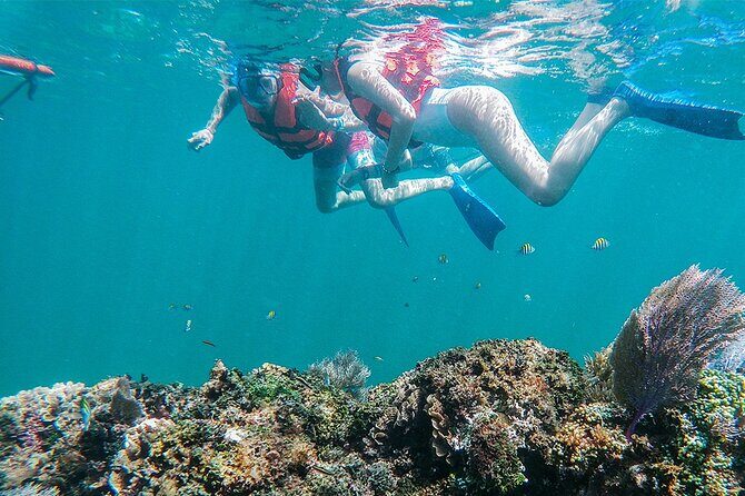 Unforgettable Snorkel Adventure in Cancun whit Transpotations - Discovering Cancun’s Underwater World: An Honest Look