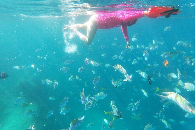 unforgettable snorkeling activity in The Sea of Cortes - Authenticity and Authentic Experiences