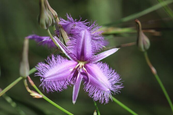 Unique and Personal BushTracks Eco Tour in Agnes Water 1770 - What Makes This Tour Stand Out?