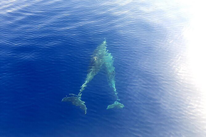 unique aperitif experience at sunset on a catamaran - Practical Details and Value