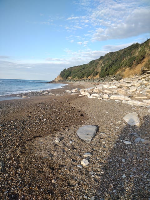 Unique Basque Nature - Guided Tour by Car - Scenic Coastal Drive to Hendaye