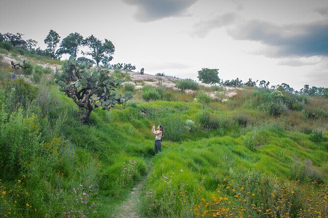 Unique cablecar experience, pulque tasting &unbeatable views - Who Should Consider This Tour?