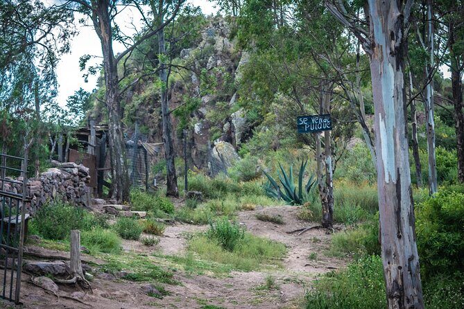 Unique cablecar experience, pulque tasting &unbeatable views - Final Thoughts