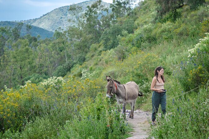 Unique cablecar experience, pulque tasting &unbeatable views - FAQ