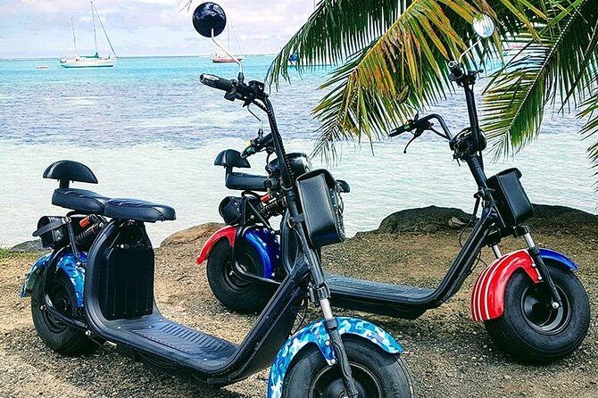 Unique excursion to Moorea on a 100% electric motorbike - Logistics: Timing, Group Size, and Practicalities