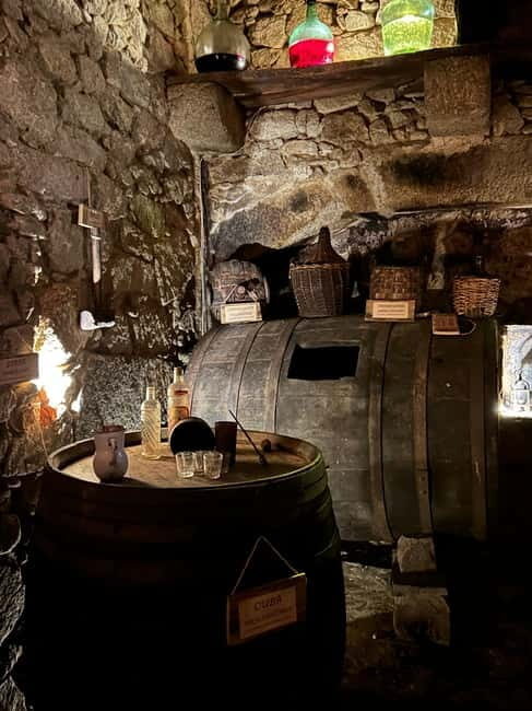 Unique experience in XVI winery with tasting near Salamanca - A Closer Look at the Experience