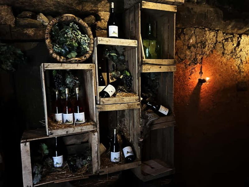 Unique experience in XVI winery with tasting near Salamanca - Why This Tour is Worth Your Time