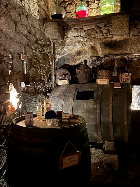Unique experience in XVI winery with tasting near Salamanca - Who Should Book This Experience?