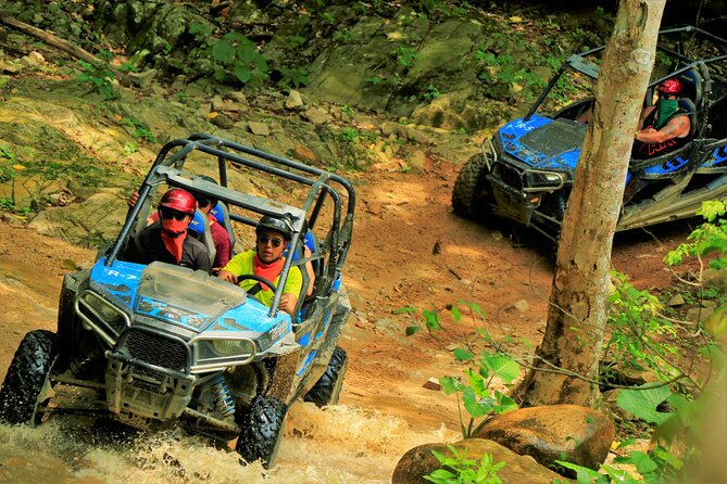 Unique Experience on ATVS or Razer Through the Jungle! - Participation Requirements